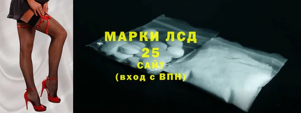 кокс Арсеньев
